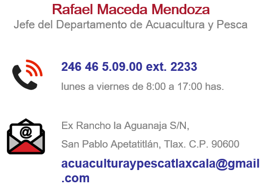 rafa1