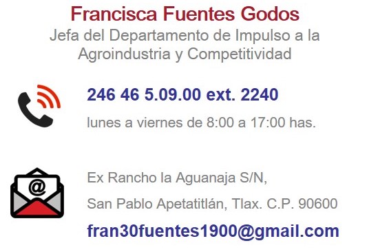 francisca1