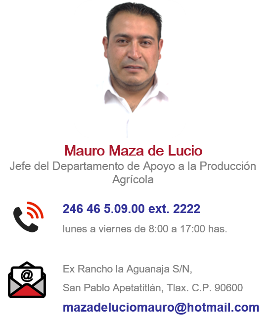 mauro